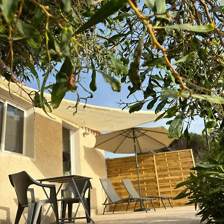 Appartement Bord De Mer 2 Personnes Sagone  Exterior foto